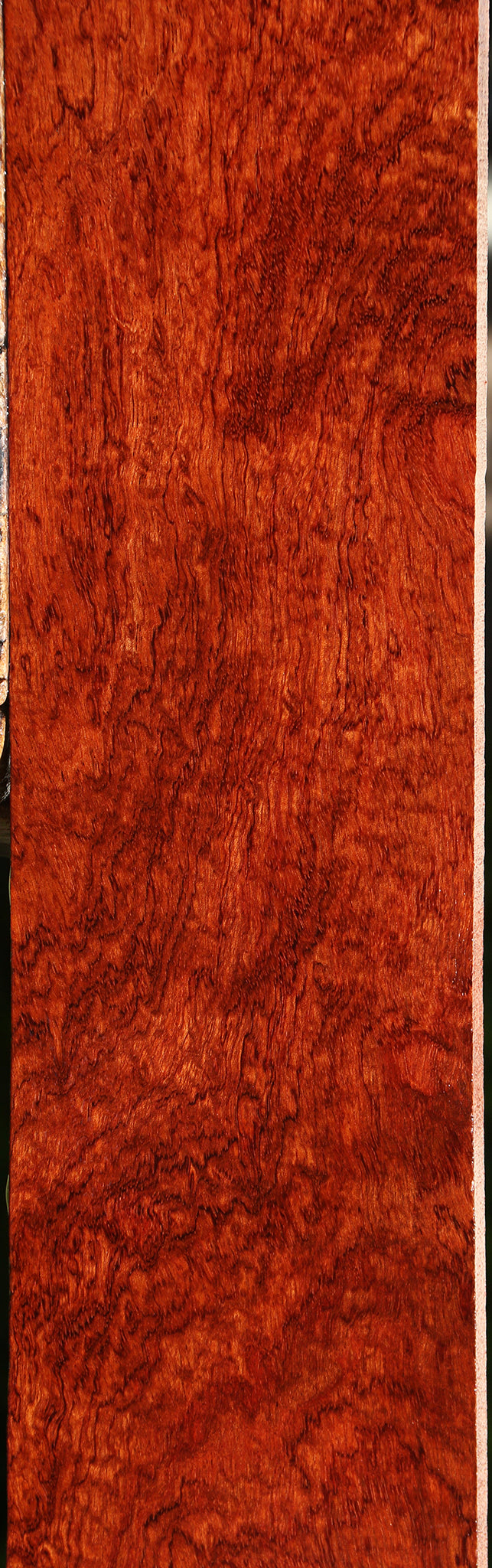 Exhibition Pomelle Bubinga Instrument Lumber
