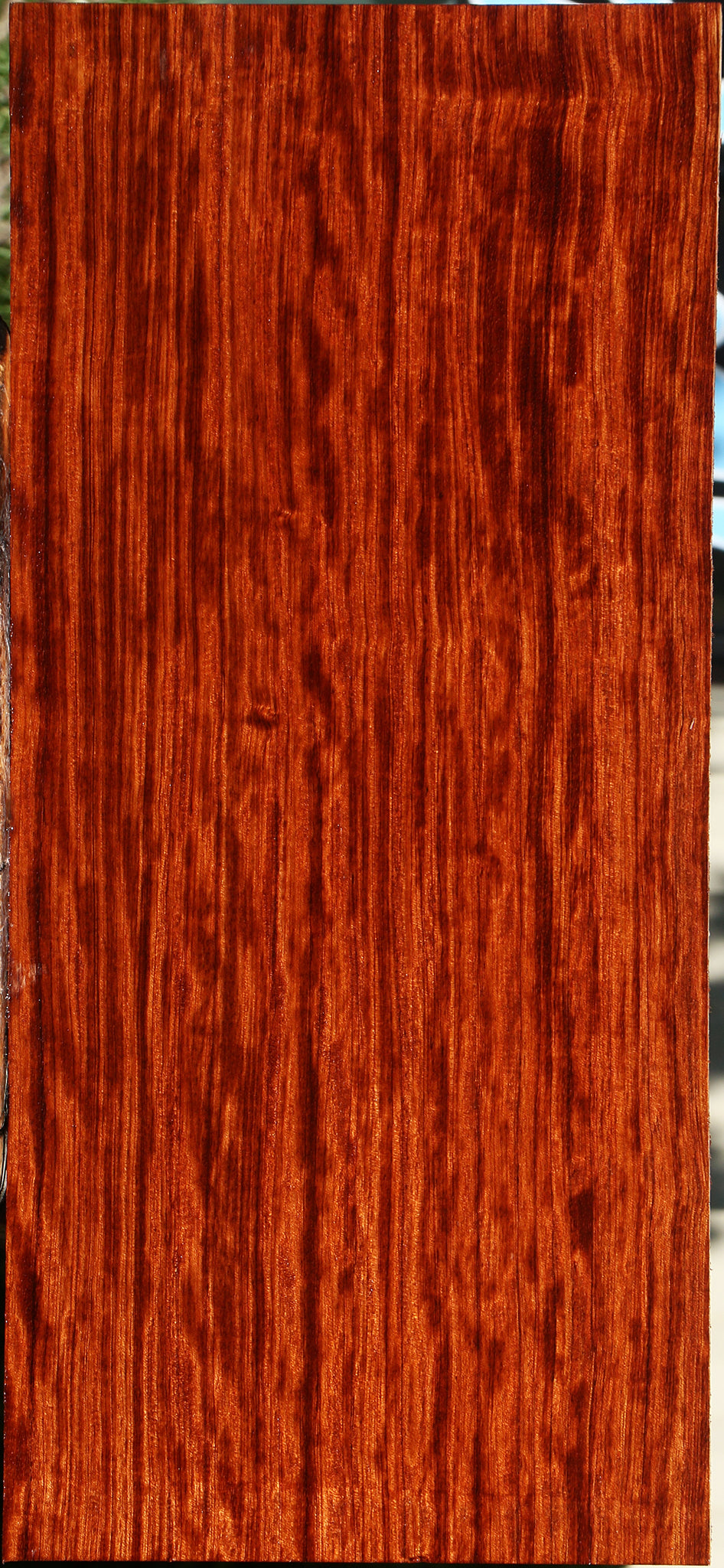 Extra Fancy Bubinga Electric Guitar Drop Top Billet