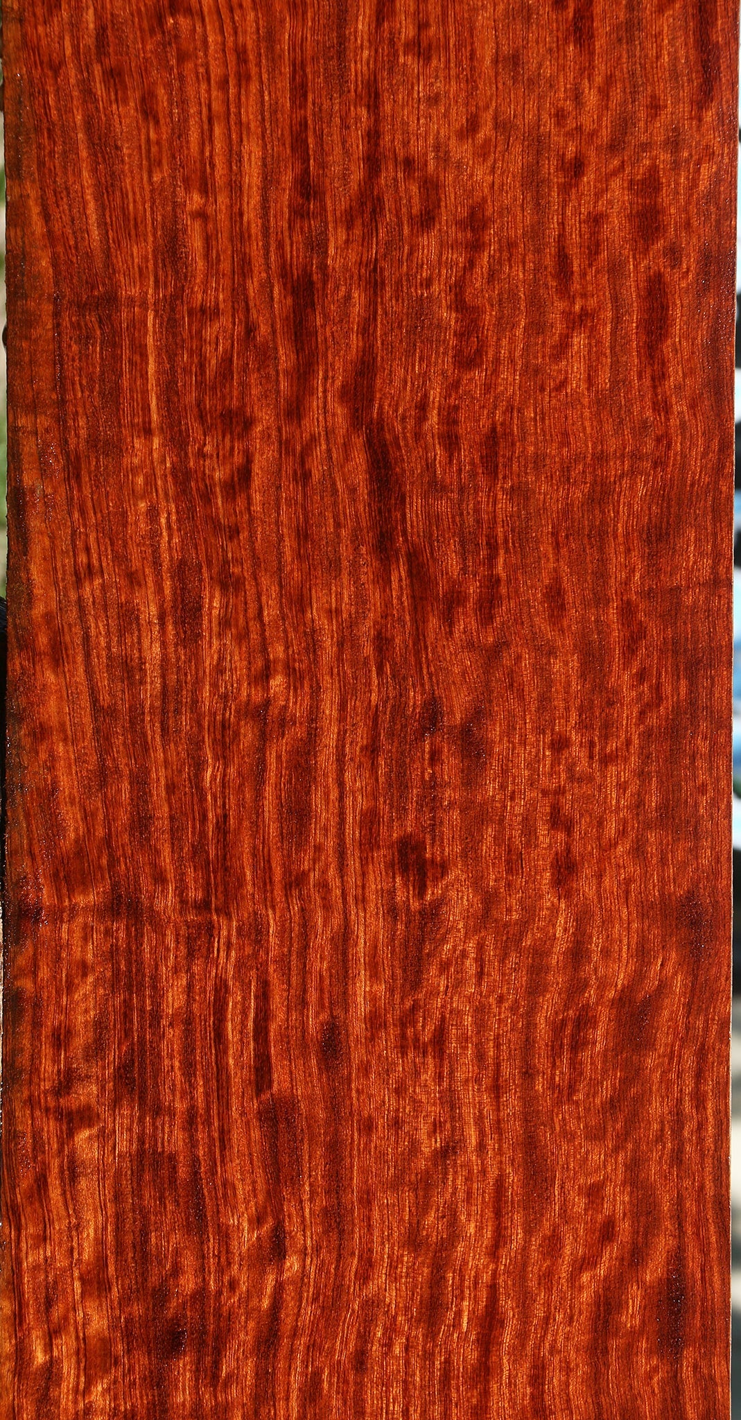 Extra Fancy Quartersawn Bubinga Lumber