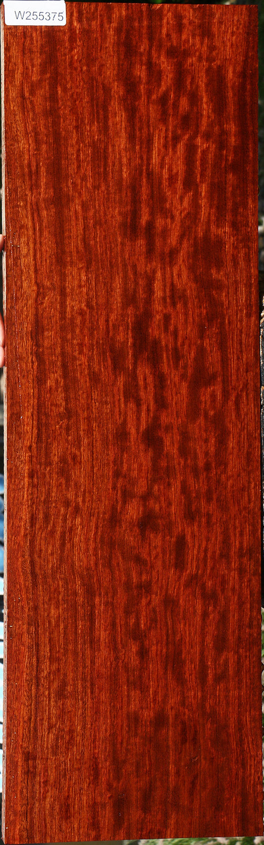 Extra Fancy Pomelle Bubinga Lumber