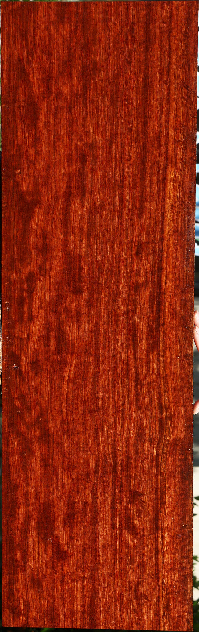 Extra Fancy Pomelle Bubinga Lumber