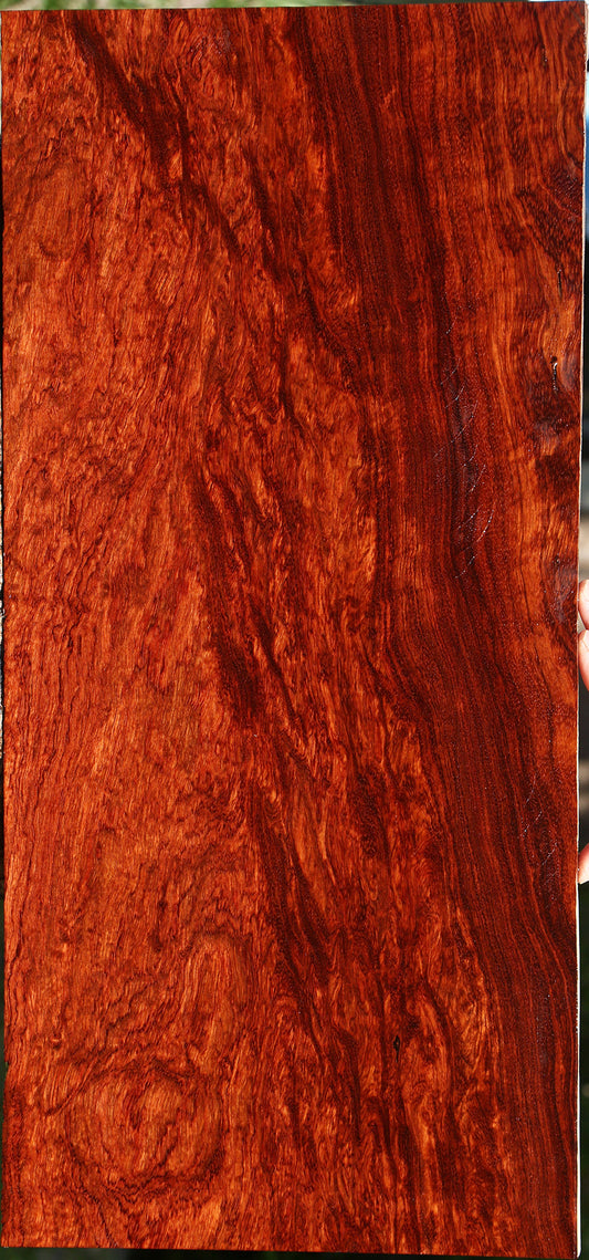 Extra Fancy Bubinga Electric Guitar Drop Top Billet