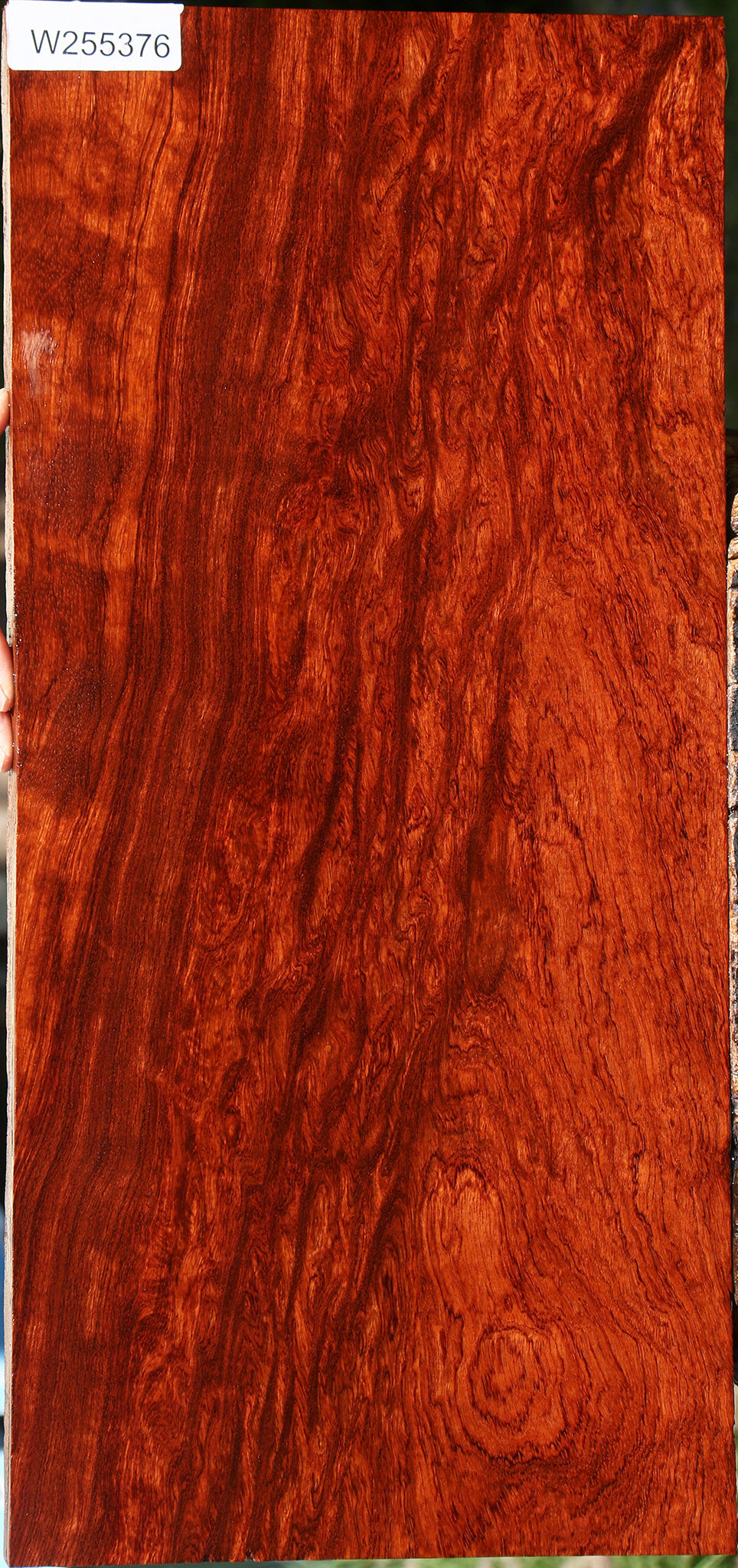 Extra Fancy Bubinga Electric Guitar Drop Top Billet