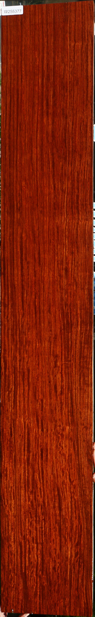 Extra Fancy Quartersawn Bubinga Lumber