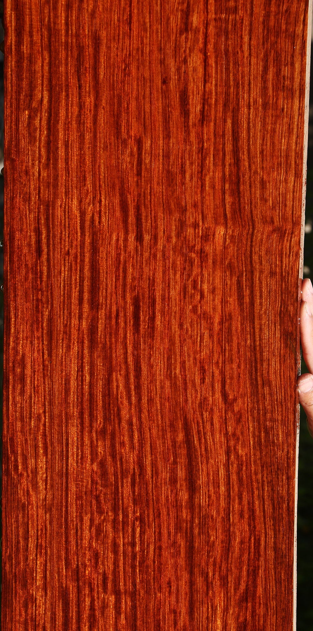 Extra Fancy Quartersawn Bubinga Lumber