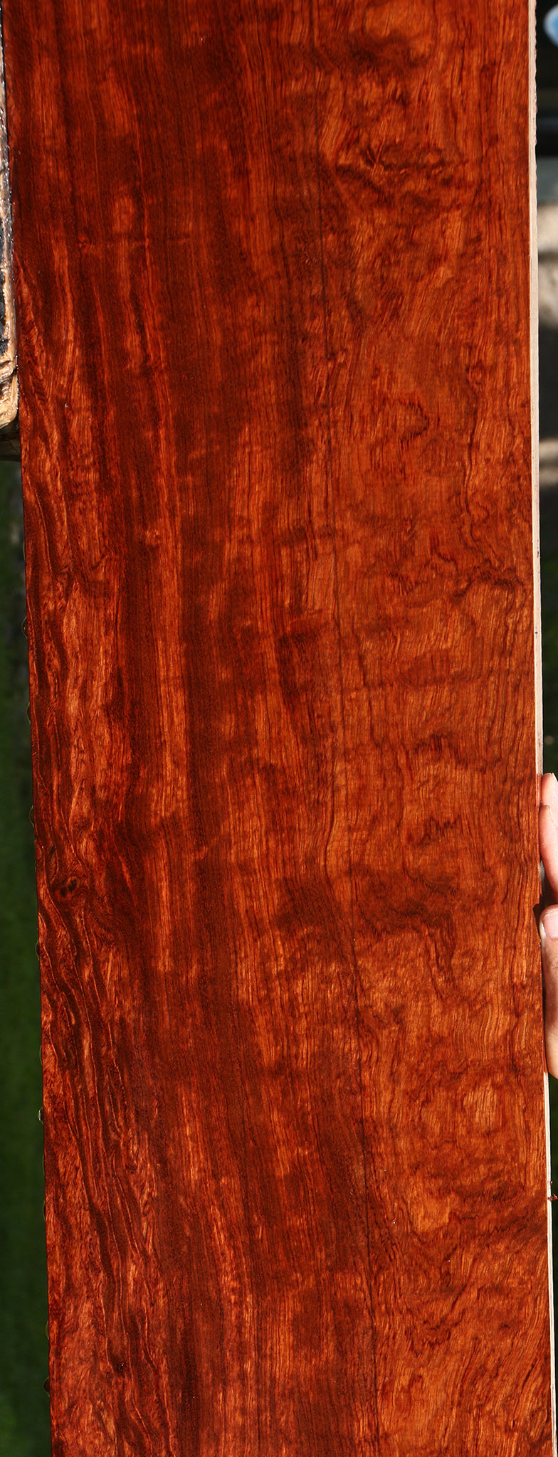 Extra Fancy Bubinga Lumber