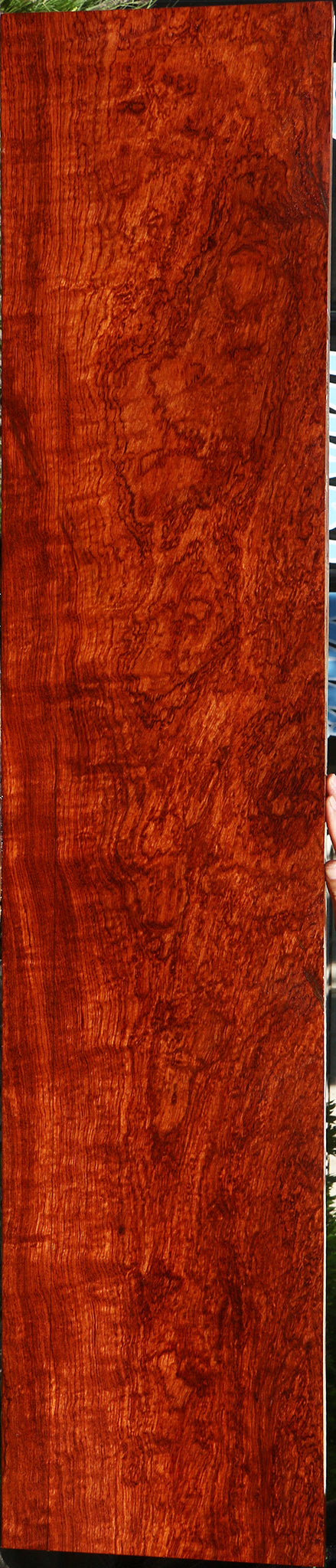 Exhibition Pomelle Bubinga Lumber