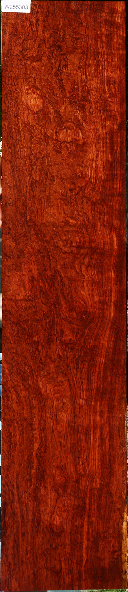 Exhibition Pomelle Bubinga Lumber