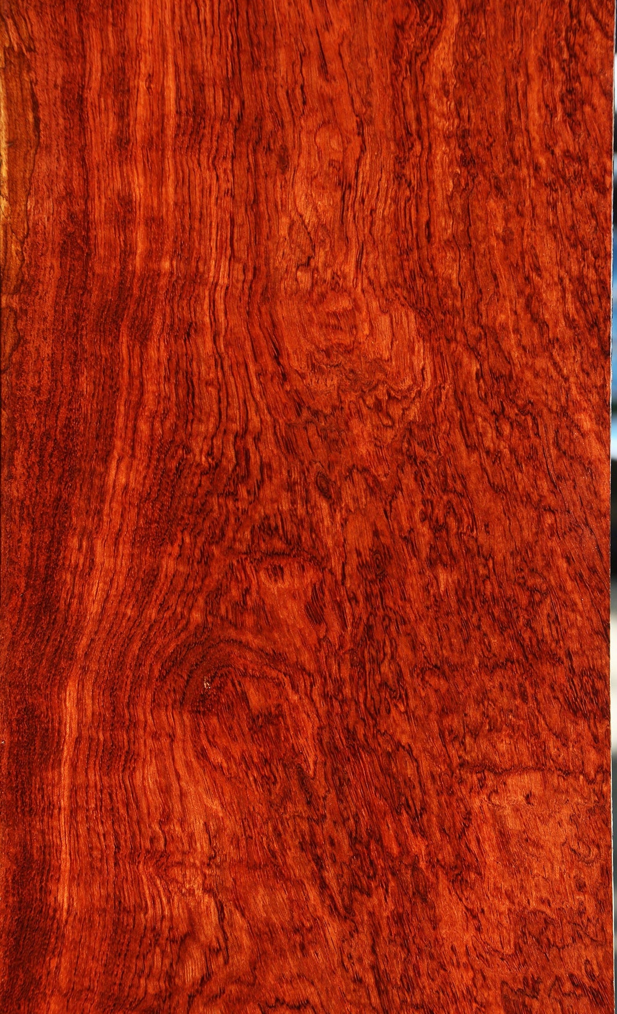 Exhibition Pomelle Bubinga Lumber