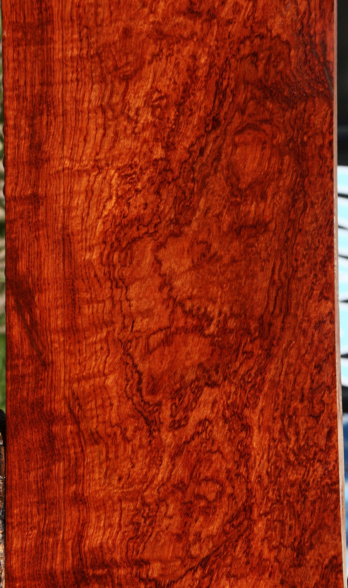 Exhibition Pomelle Bubinga Lumber