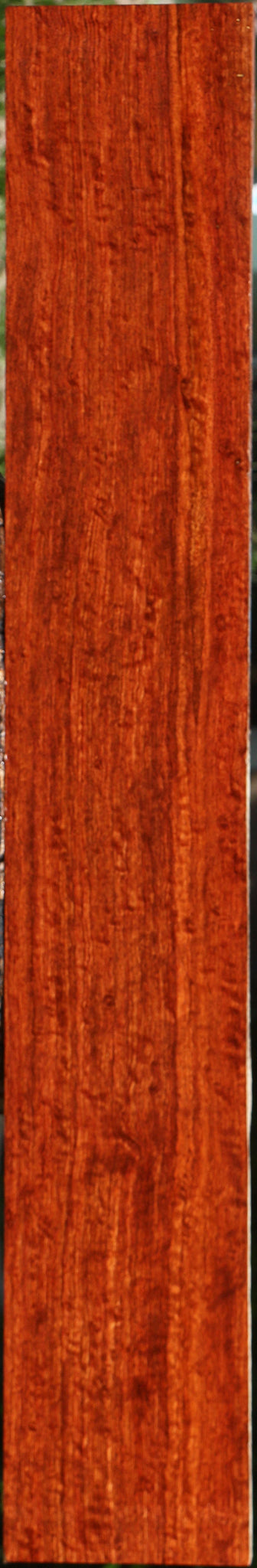 Extra Fancy Bubinga Lumber