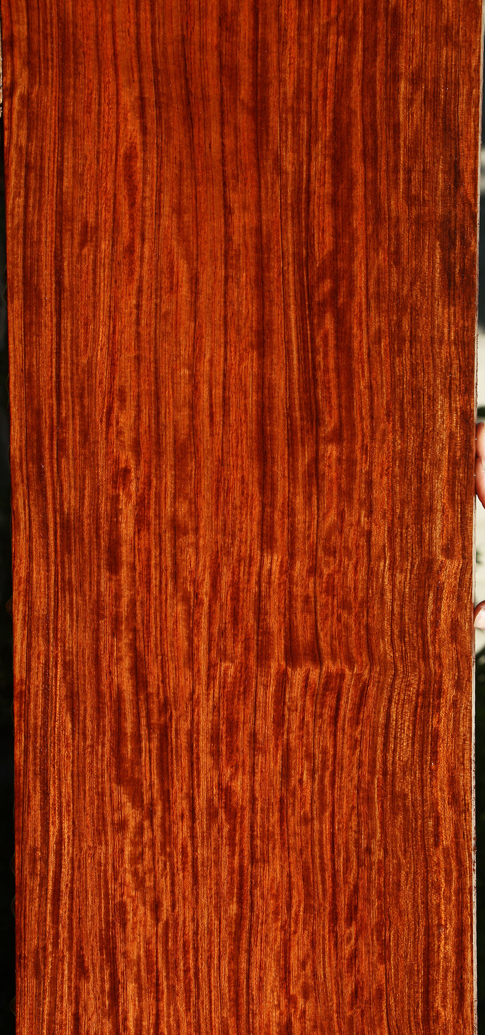 Extra Fancy Quartersawn Bubinga Instrument Lumber