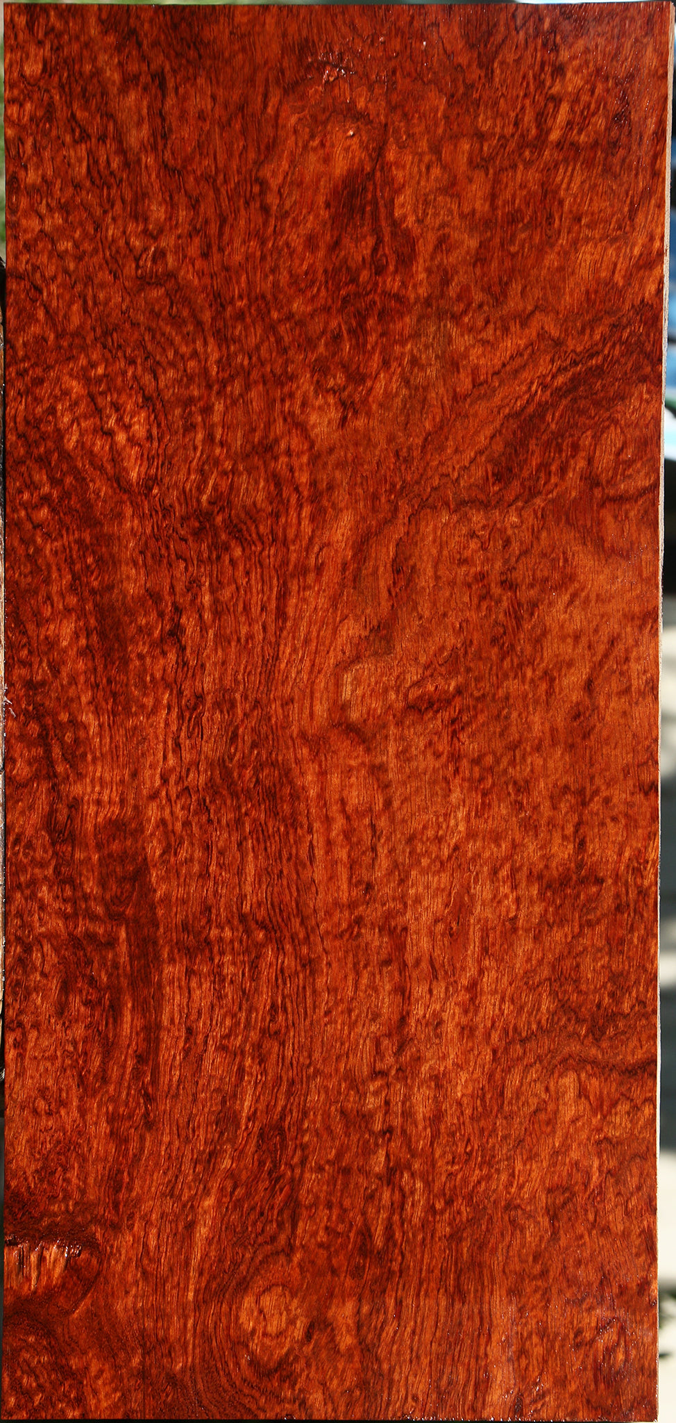 Exhibition Pomelle Bubinga Instrument Lumber