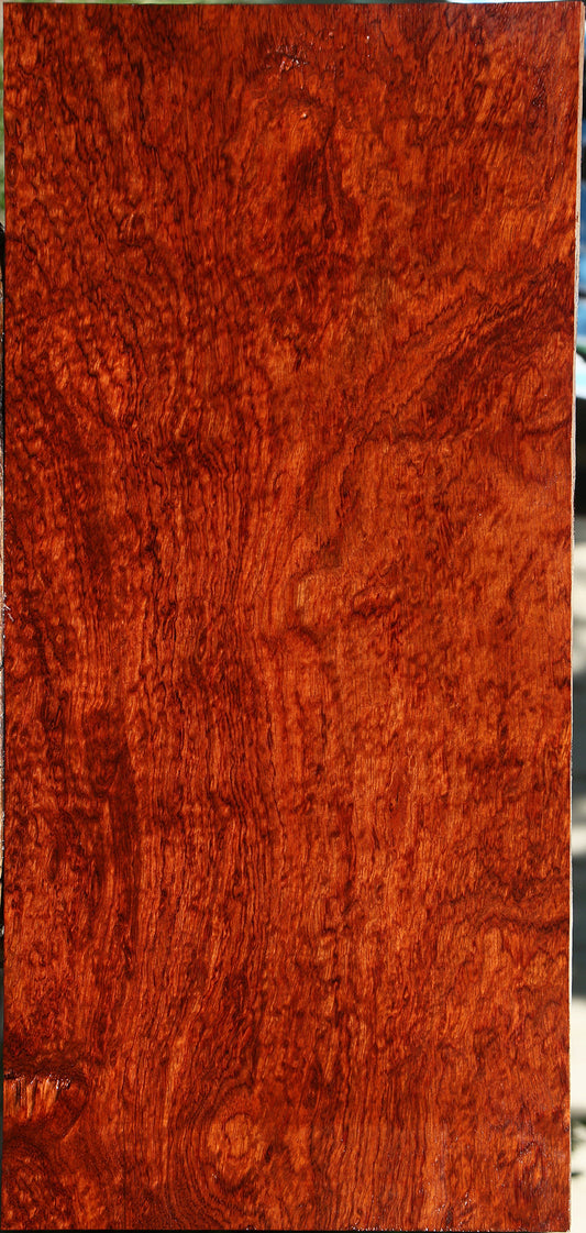 Exhibition Pomelle Bubinga Instrument Lumber