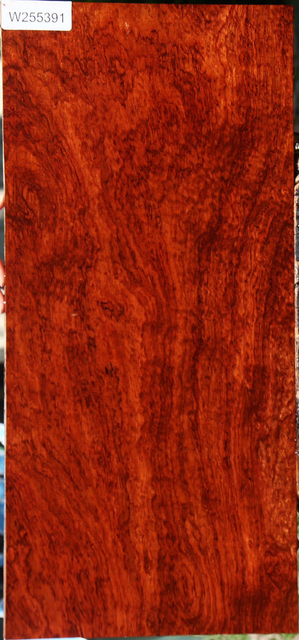Exhibition Pomelle Bubinga Instrument Lumber