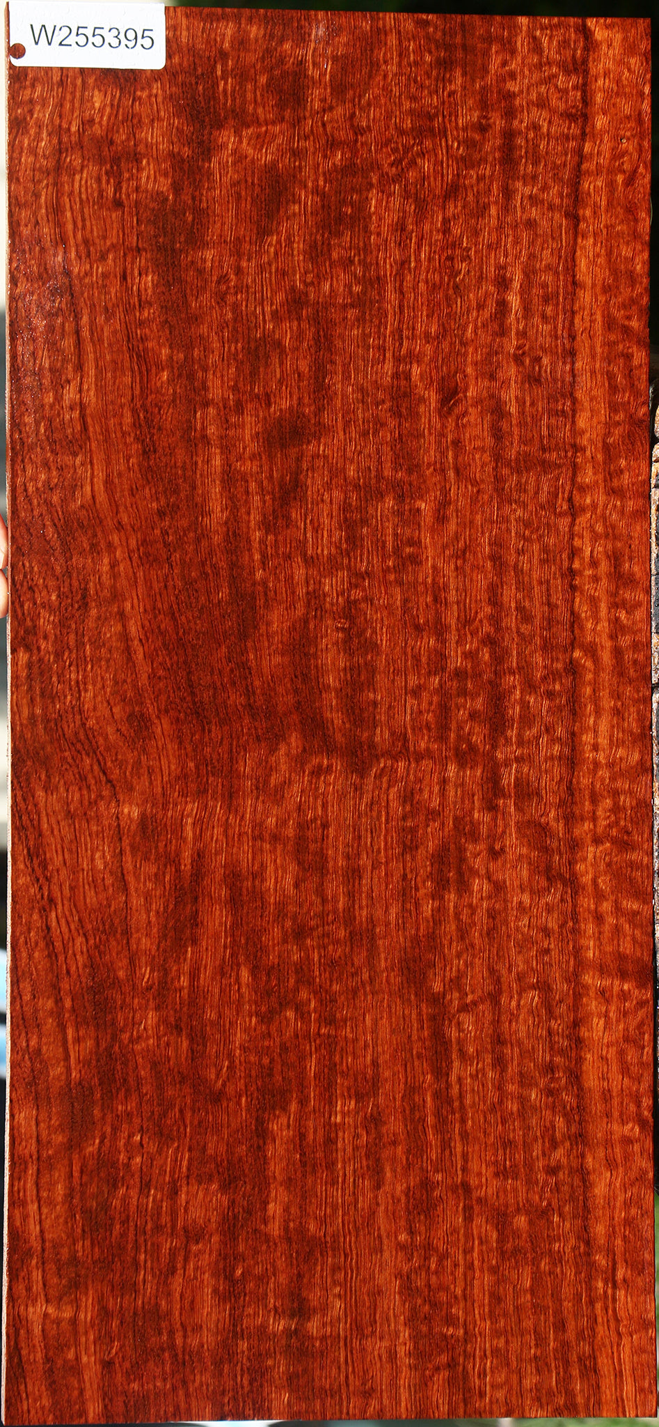 Extra Fancy Bubinga Electric Guitar Drop Top Billet