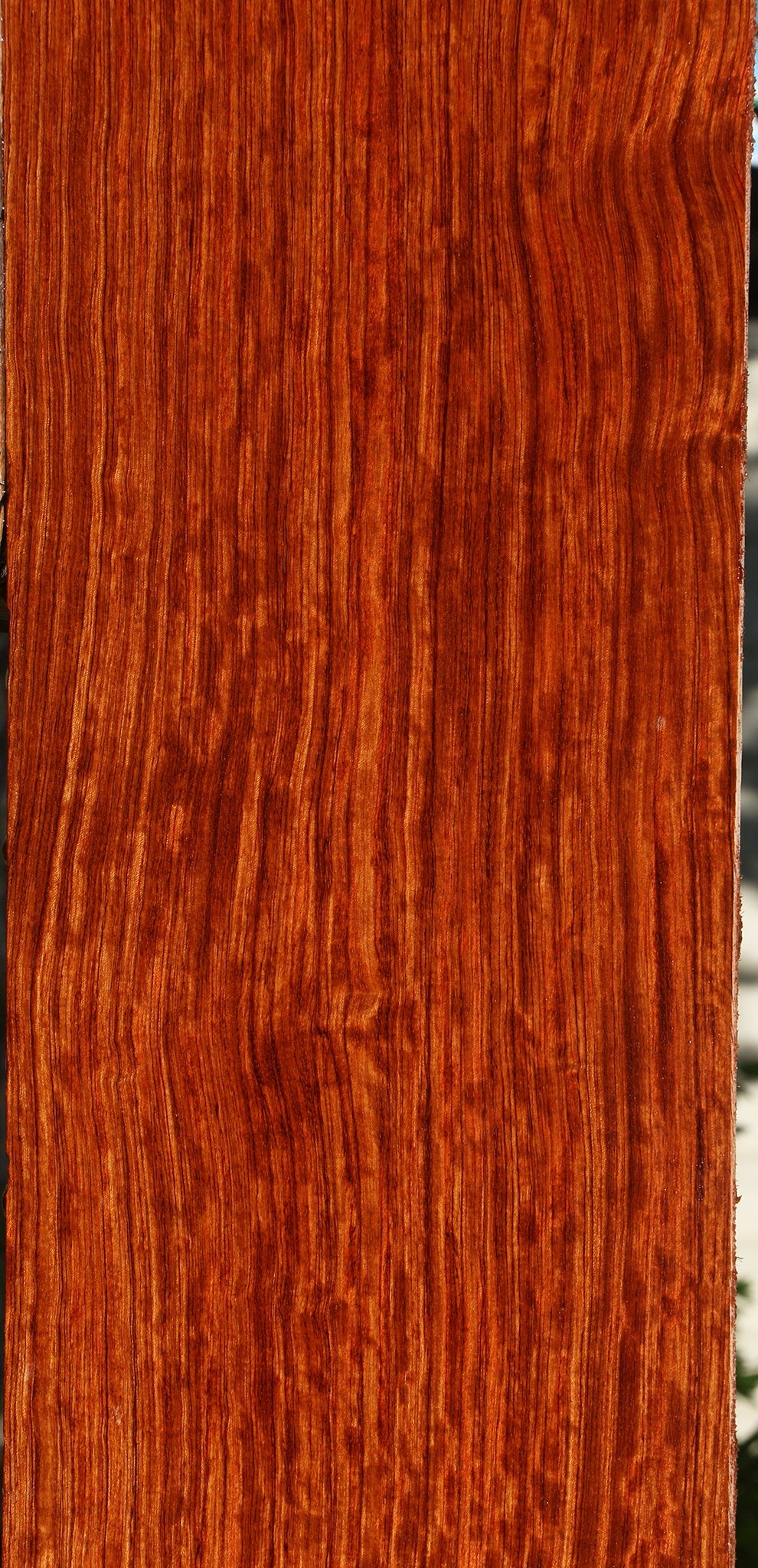 Extra Fancy Quartersawn Bubinga Lumber