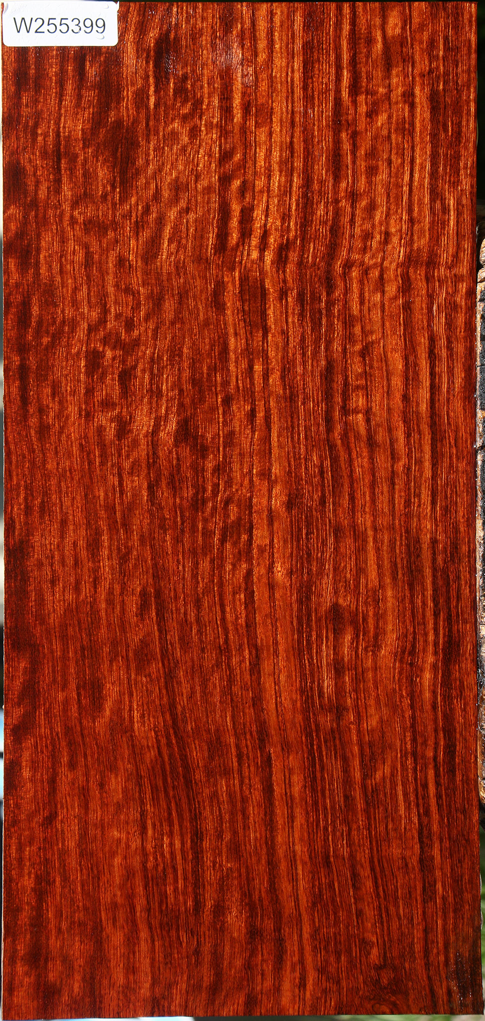 Extra Fancy Quartersawn Bubinga Instrument Lumber