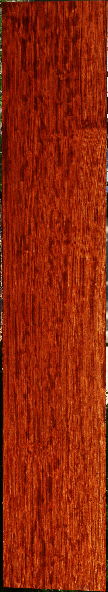 Figured Quartersawn Bubinga Lumber