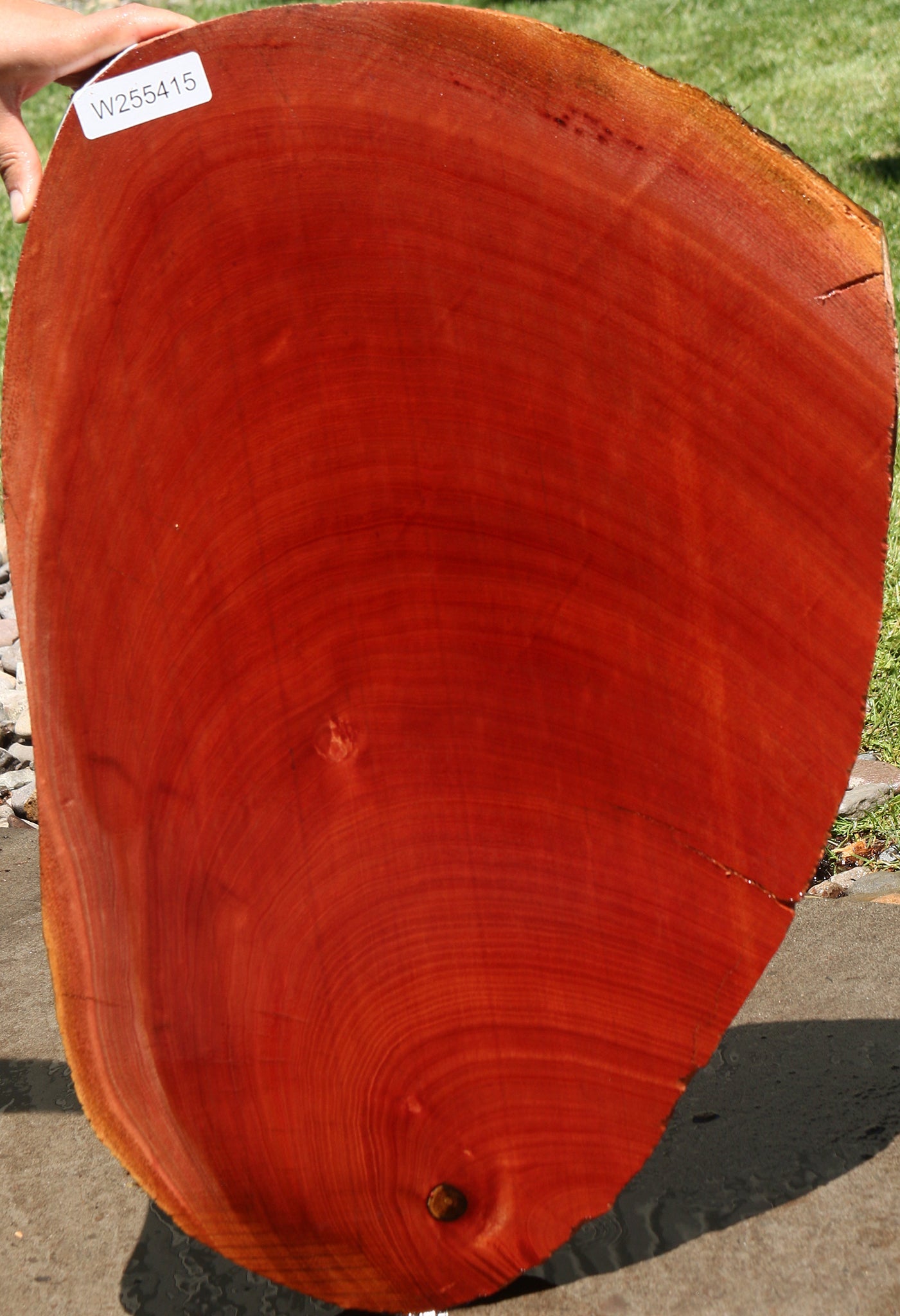 Peruvian Pepperwood Cookie