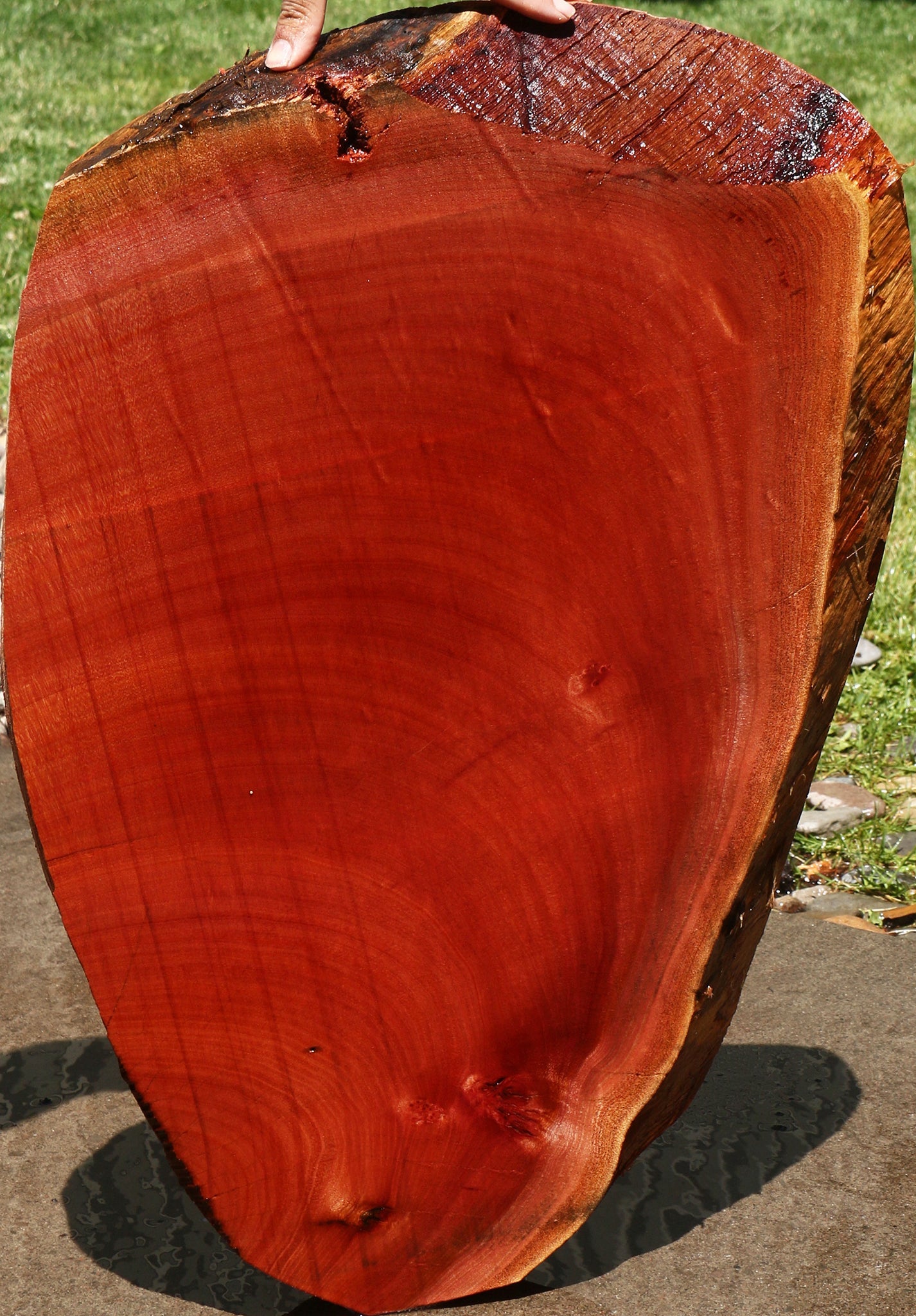 Peruvian Pepperwood Cookie