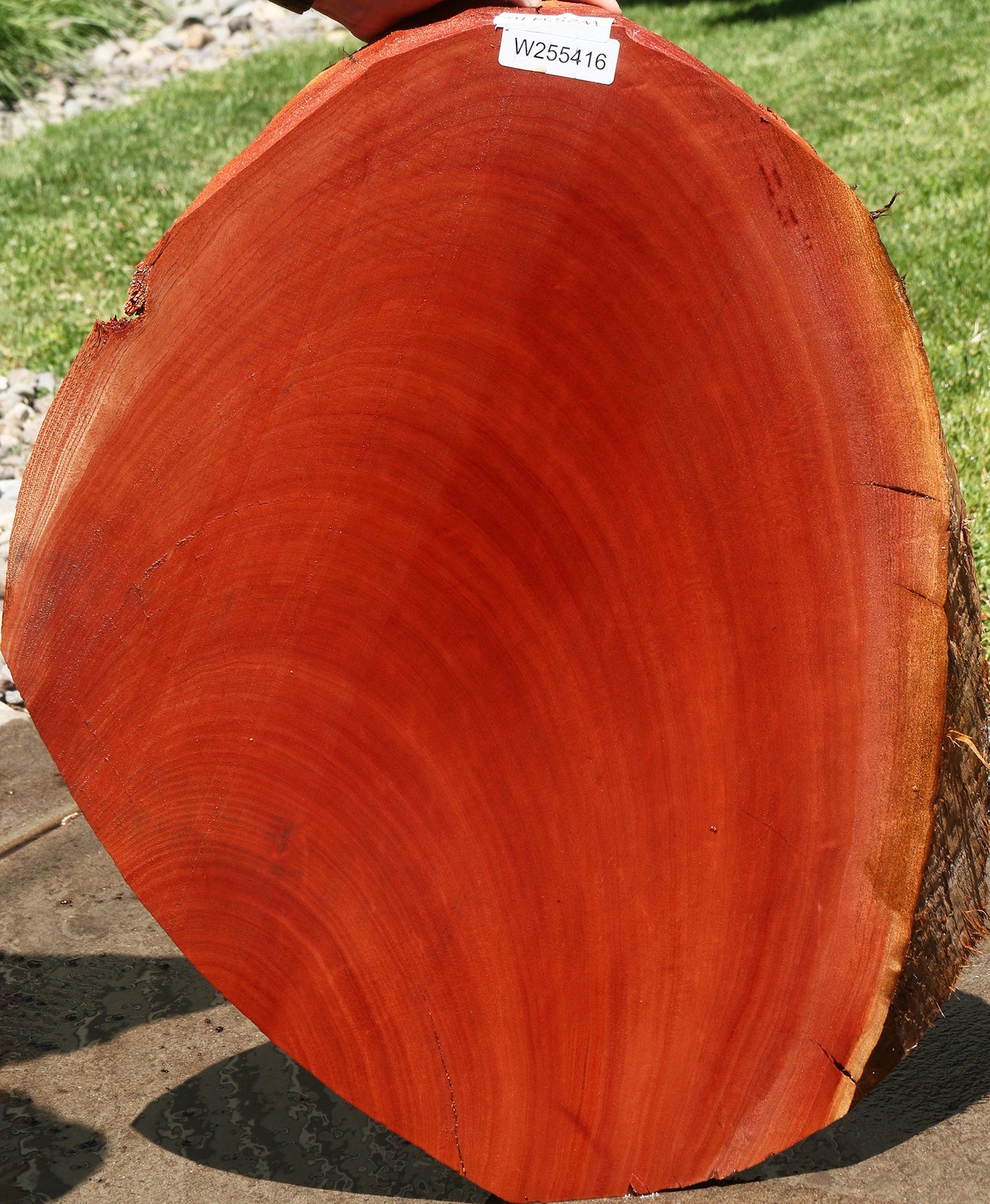 Peruvian Pepperwood Cookie