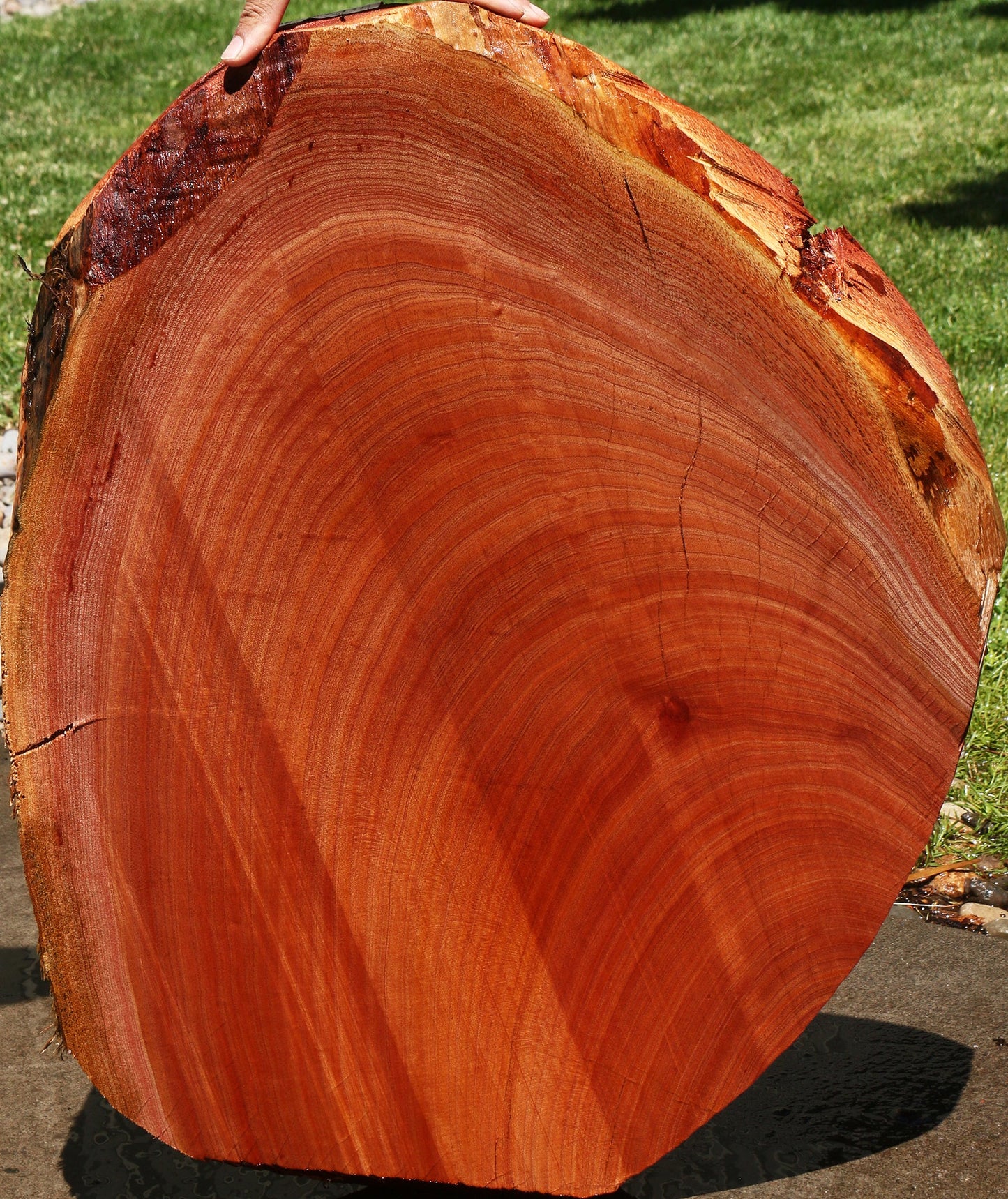 Peruvian Pepperwood Cookie