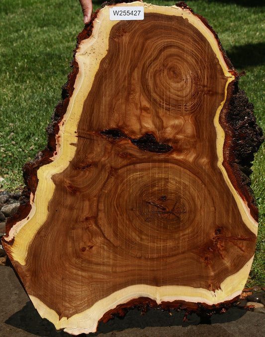 Elm Burl Cookie