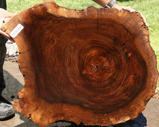 Rustic English Walnut Cookie