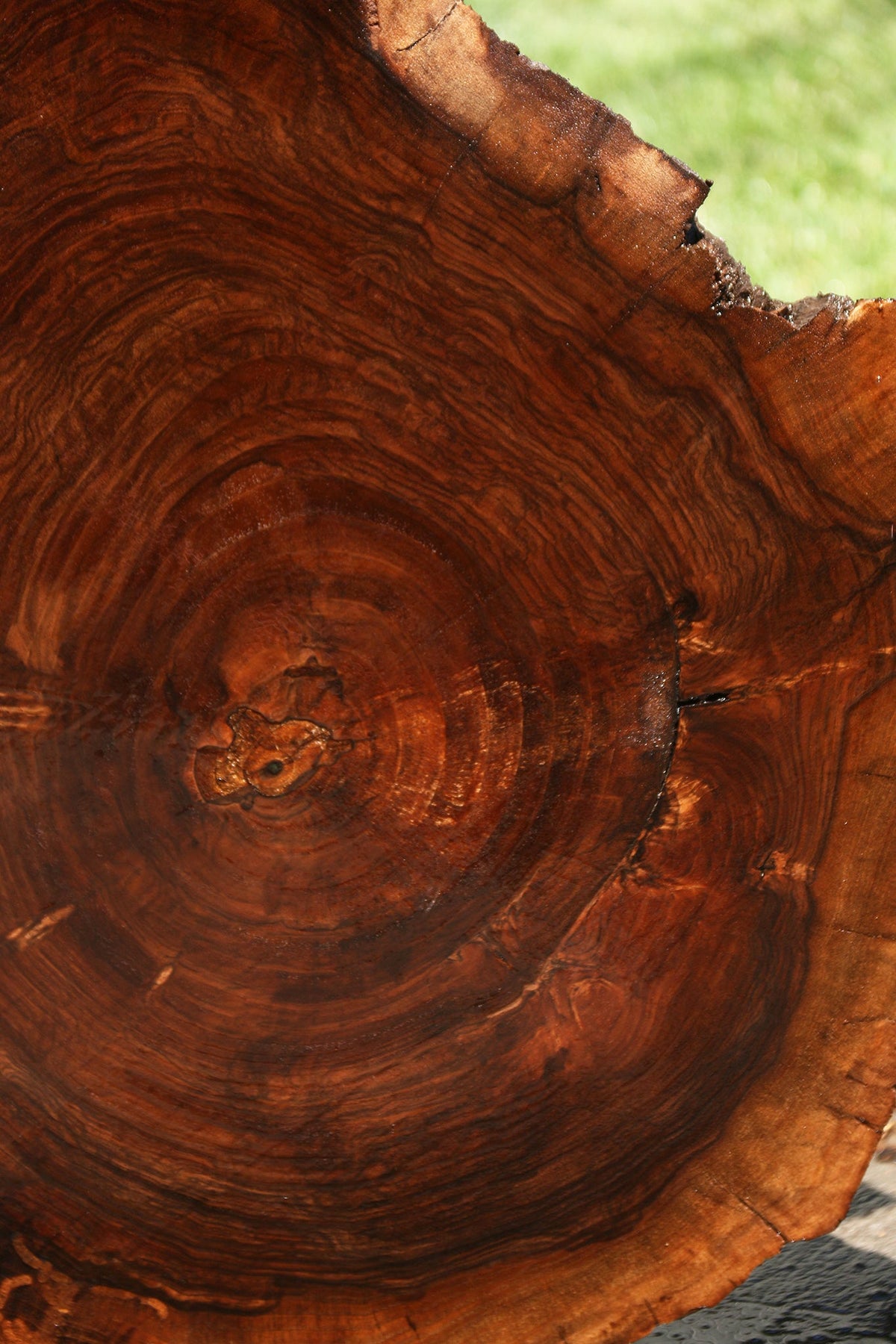 English Walnut Cookie