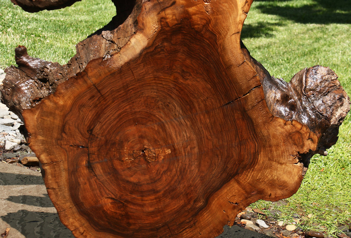 English Walnut Cookie