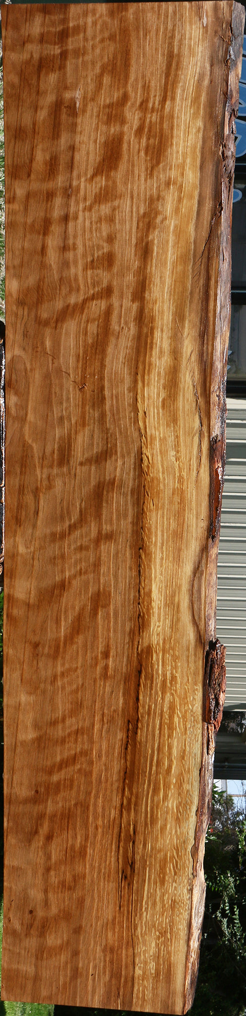 Extra Fancy Liquid Amber Live Edge Lumber