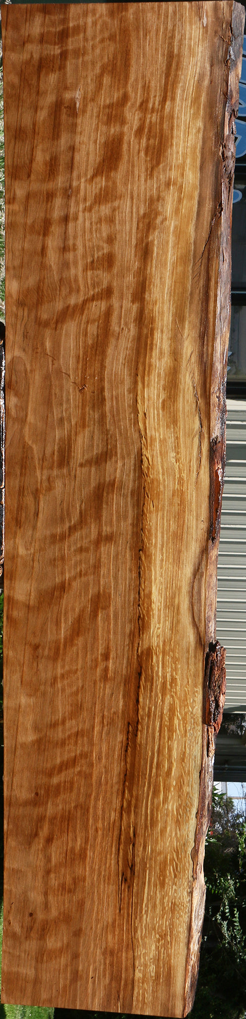 Extra Fancy Liquid Amber Live Edge Lumber