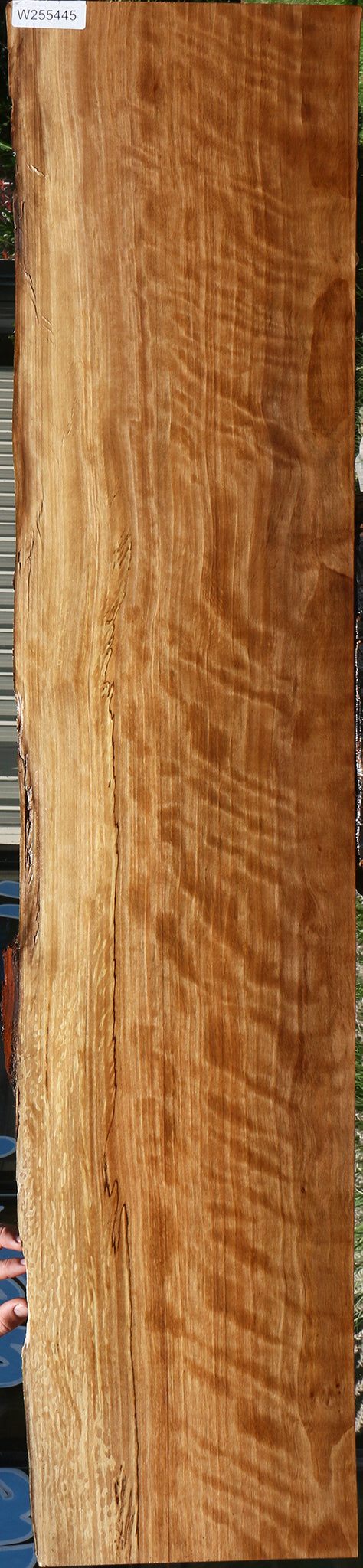 Extra Fancy Liquid Amber Live Edge Lumber