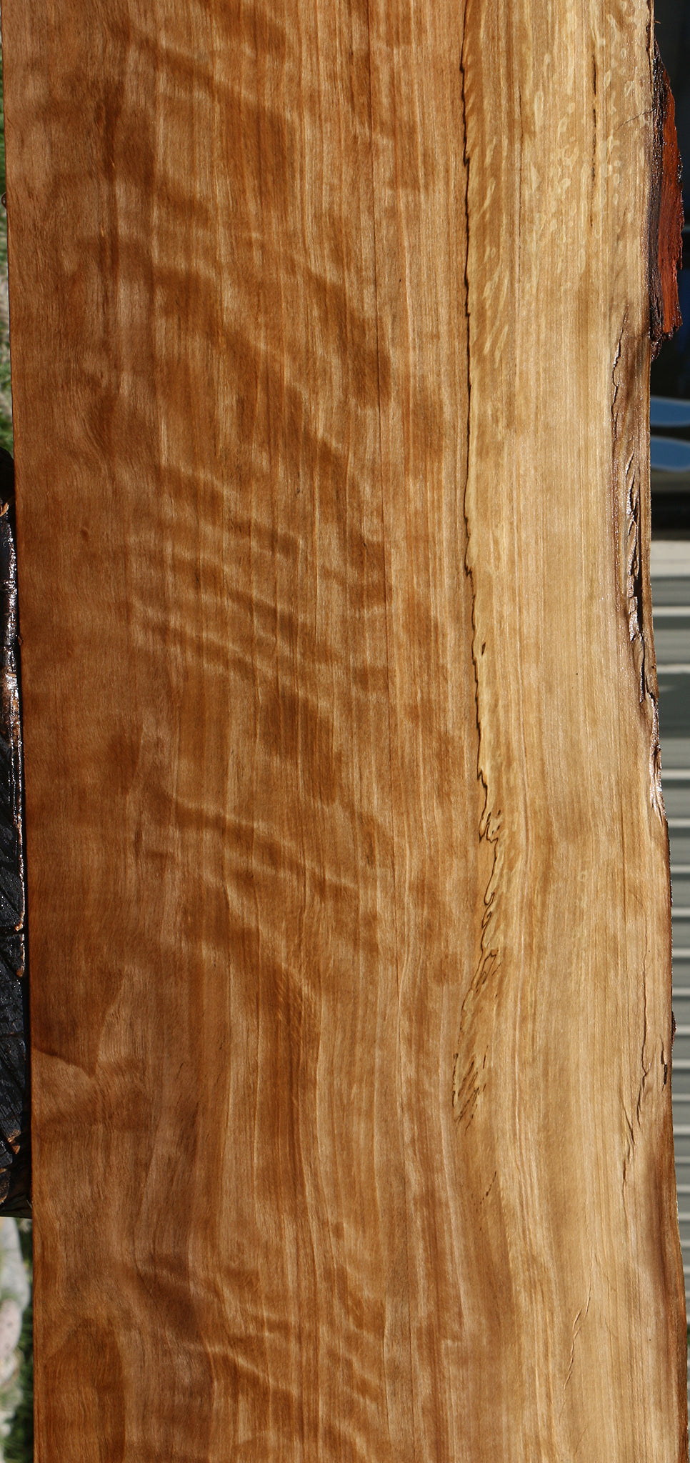 Extra Fancy Liquid Amber Live Edge Lumber