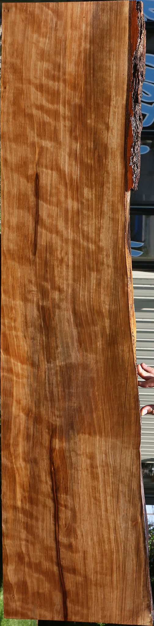 Figured Liquid Amber Live Edge Lumber