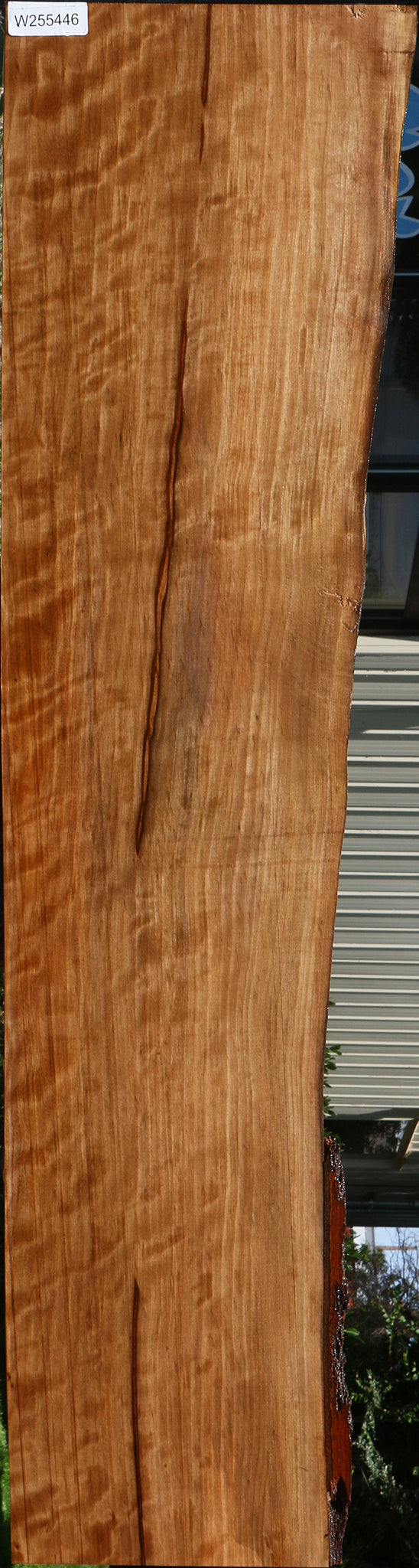 Figured Liquid Amber Live Edge Lumber