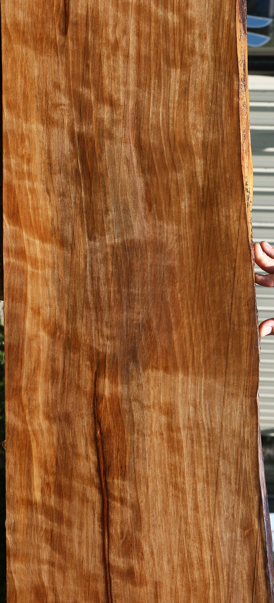 Figured Liquid Amber Live Edge Lumber