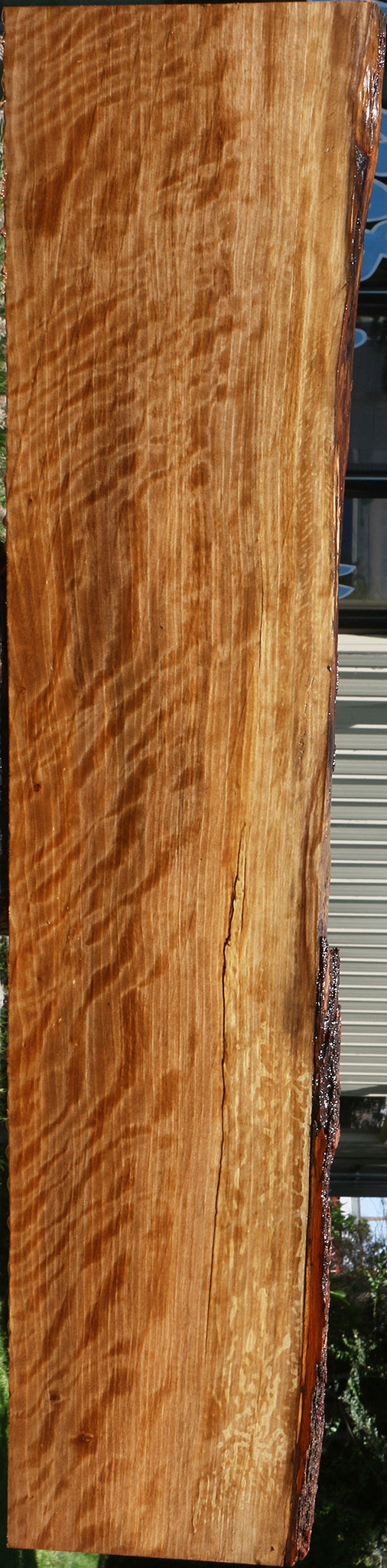 Extra Fancy Liquid Amber Live Edge Lumber