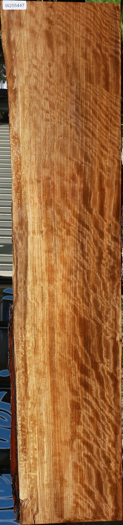 Extra Fancy Liquid Amber Live Edge Lumber