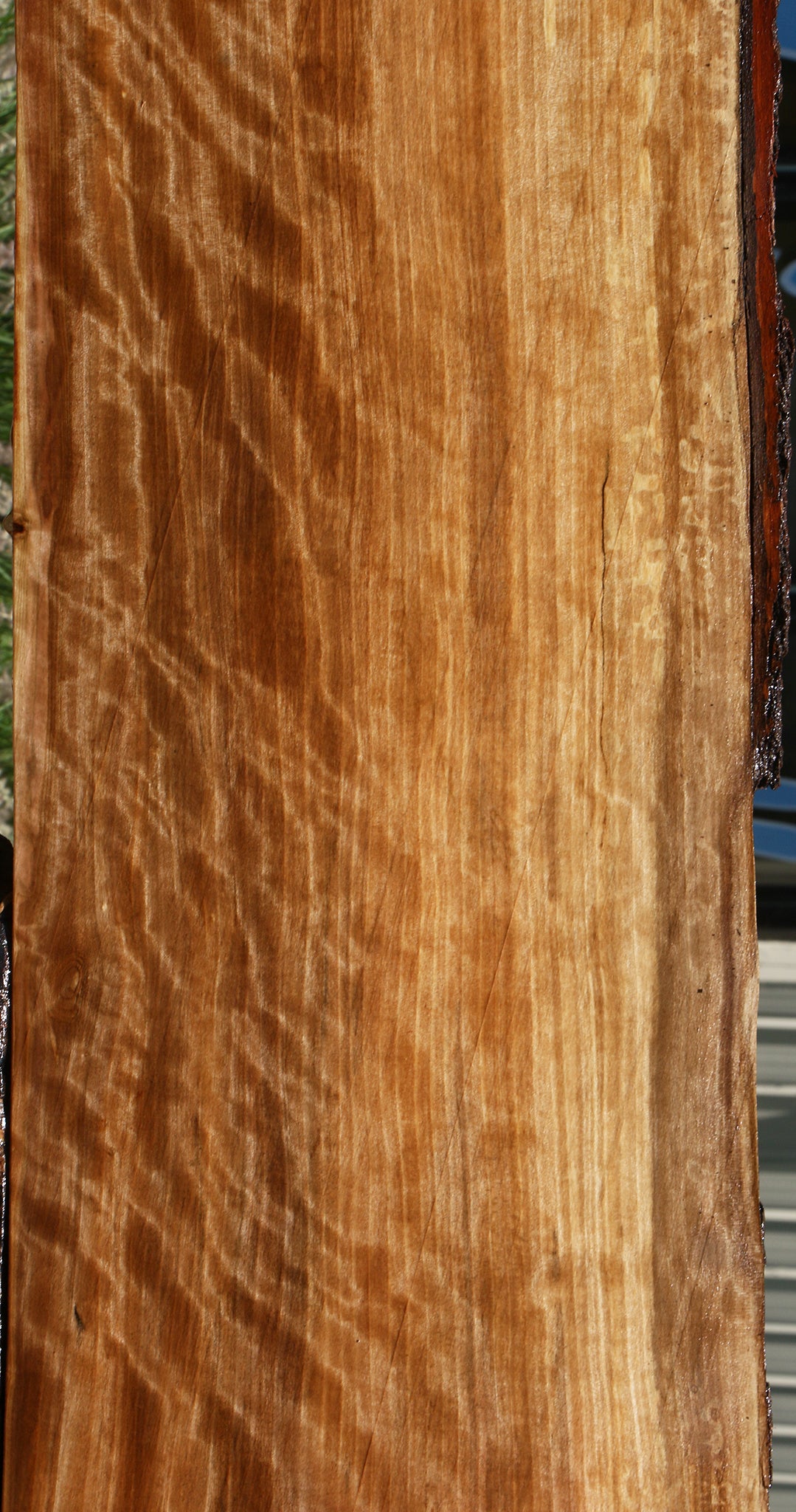 Extra Fancy Liquid Amber Live Edge Lumber