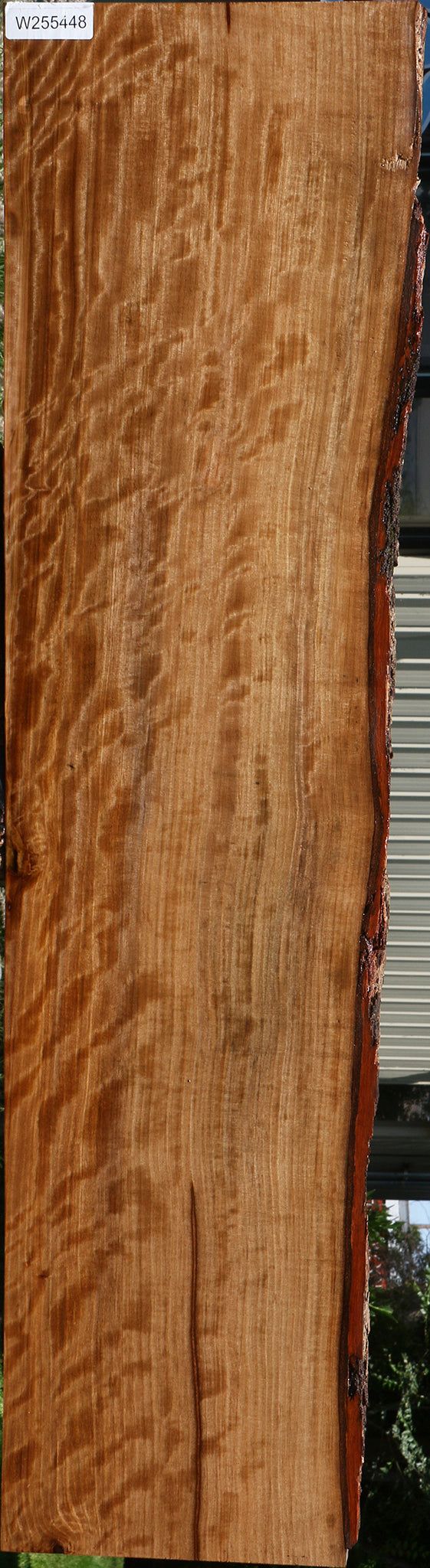 Extra Fancy Quartersawn Liquid Amber Live Edge Lumber