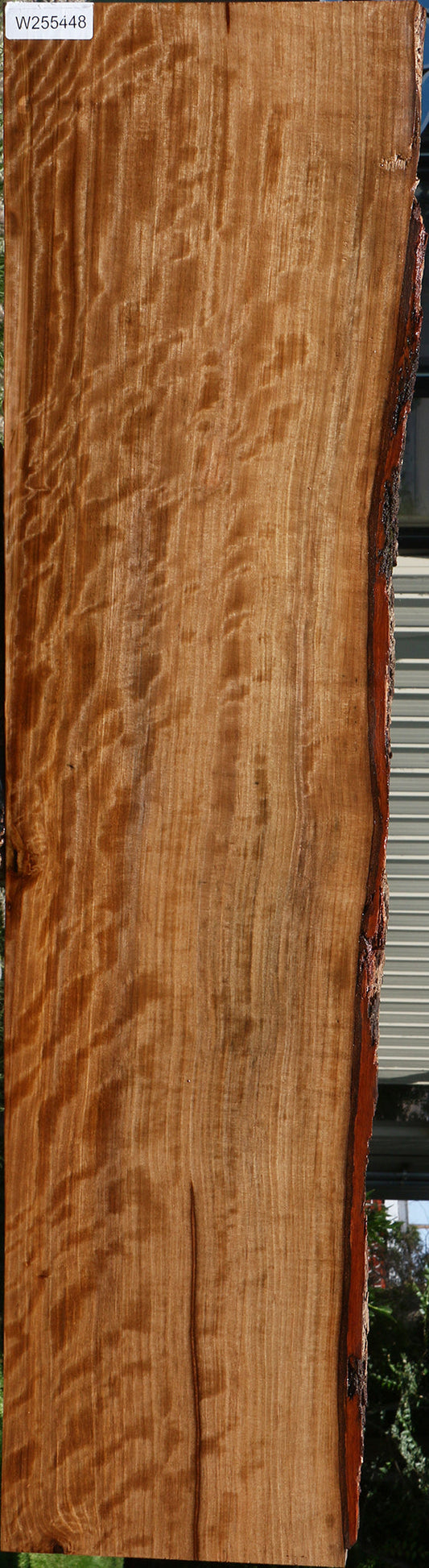 Extra Fancy Quartersawn Liquid Amber Live Edge Lumber