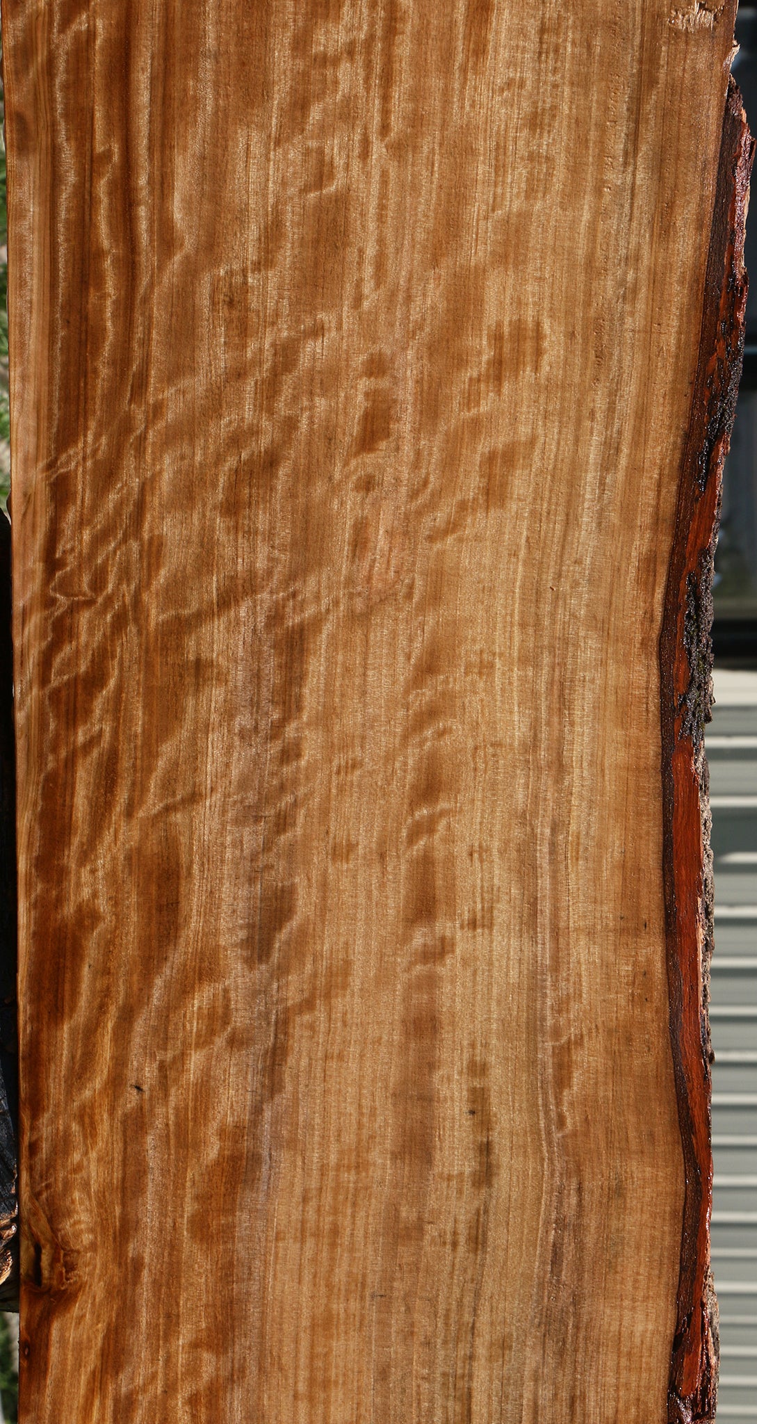 Extra Fancy Quartersawn Liquid Amber Live Edge Lumber