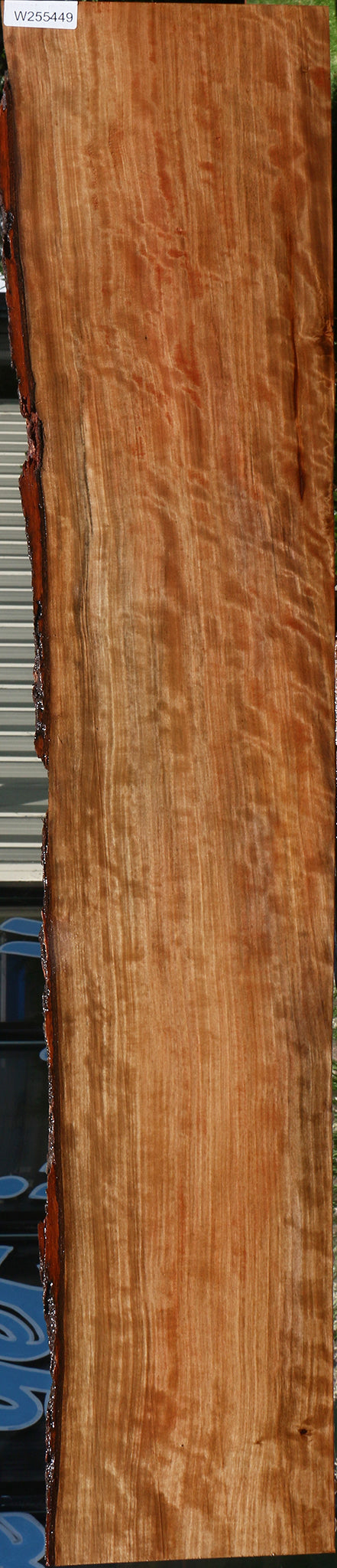 Extra Fancy Liquid Amber Live Edge Lumber