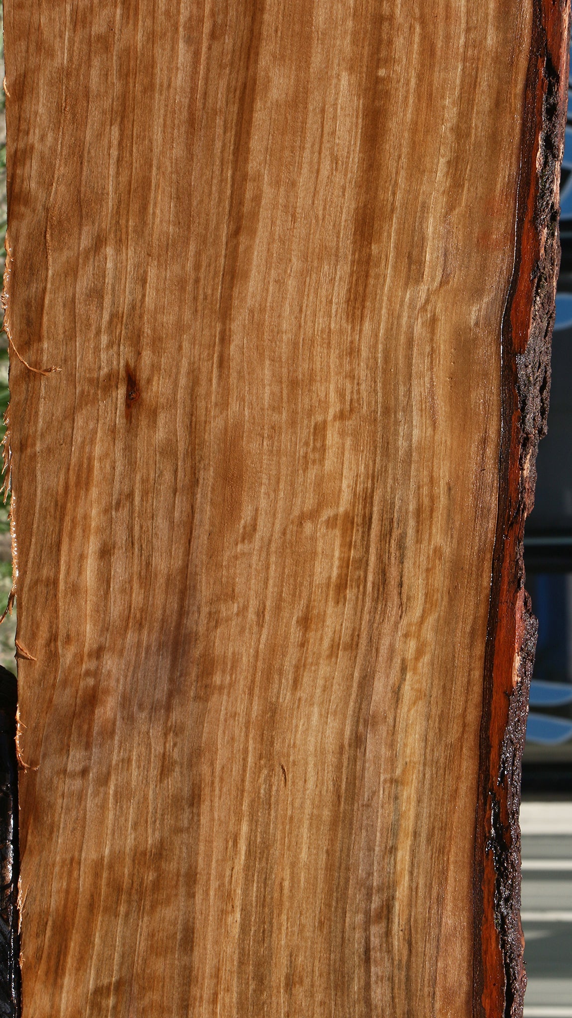 Extra Fancy Liquid Amber Live Edge Lumber