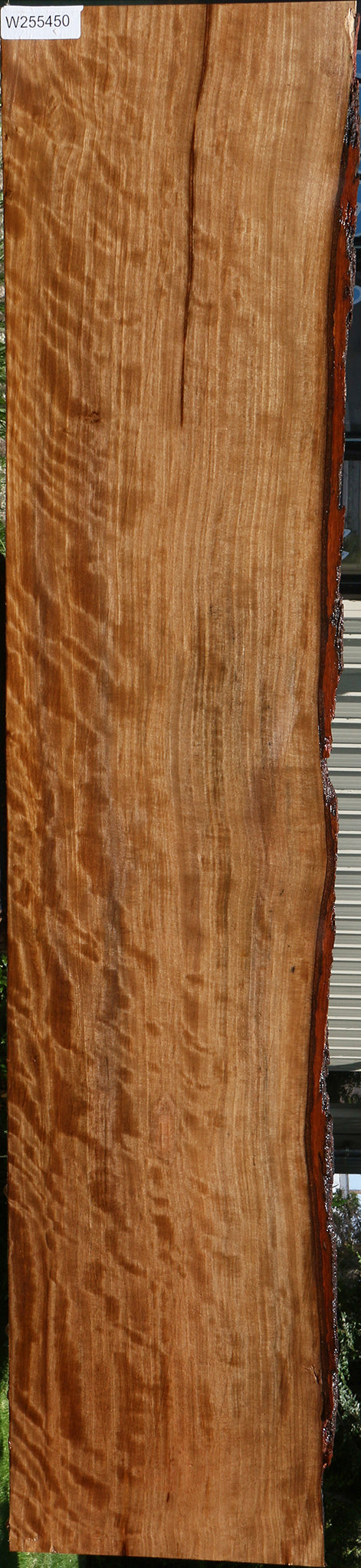 Extra Fancy Liquid Amber Live Edge Lumber