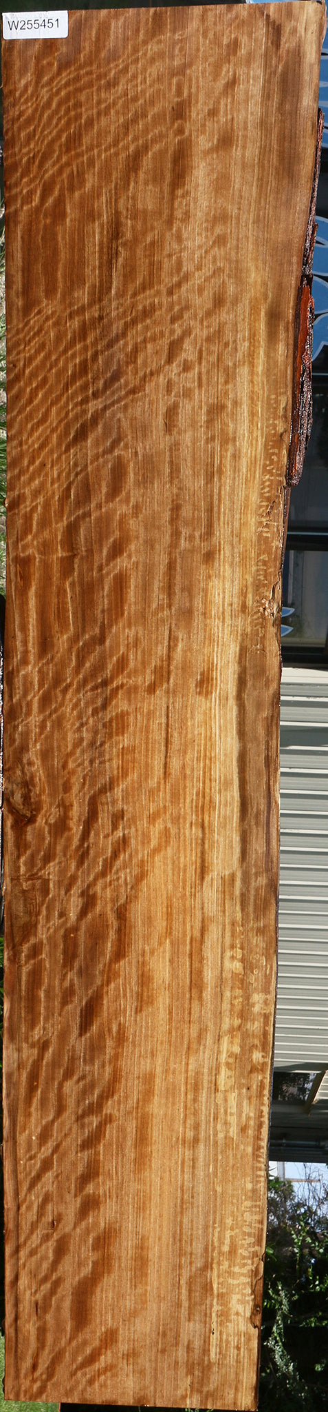 Extra Fancy Quartersawn Liquid Amber Live Edge Lumber