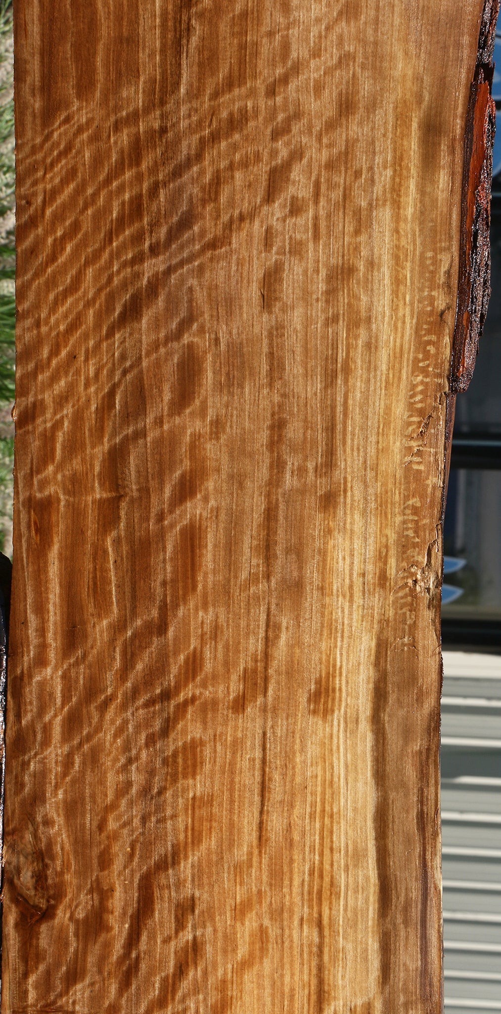 Extra Fancy Quartersawn Liquid Amber Live Edge Lumber
