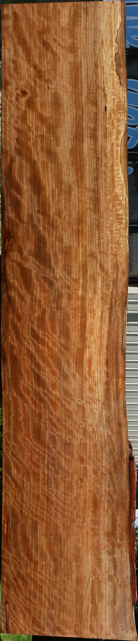 Extra Fancy Quartersawn Liquid Amber Live Edge Lumber